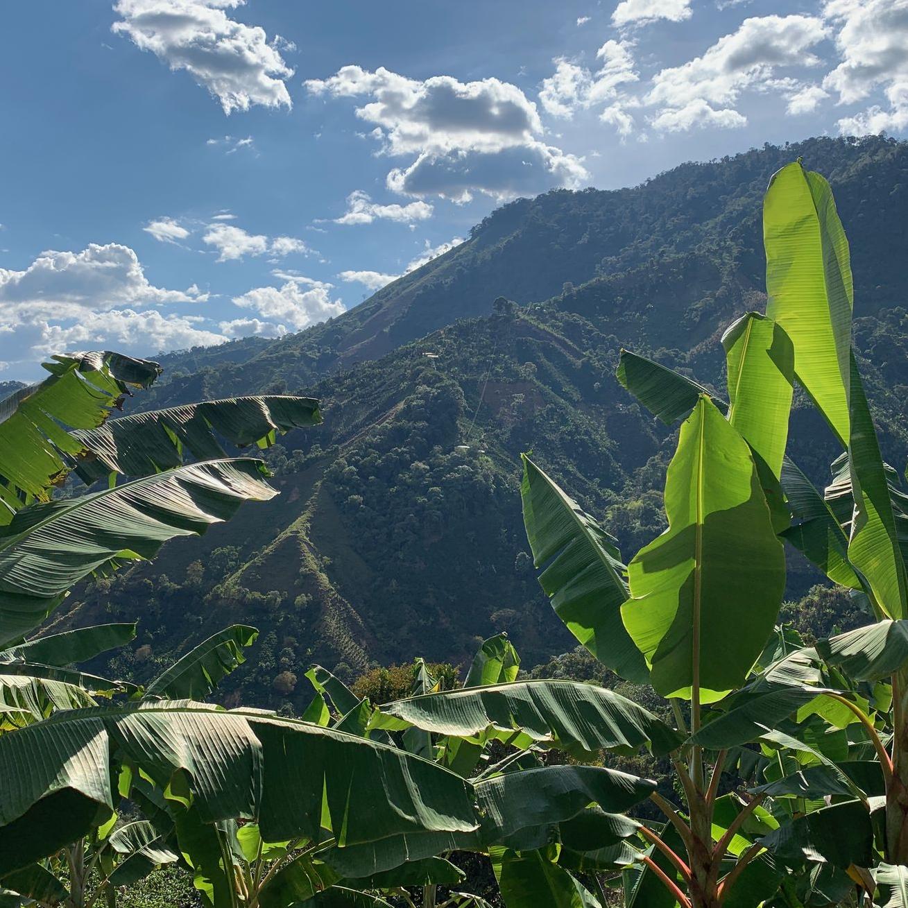 Landscape of Colombia Argromin Iquira We Care about the Environment For us, fair small-scale mining also means a responsible approach to nature and its resources.